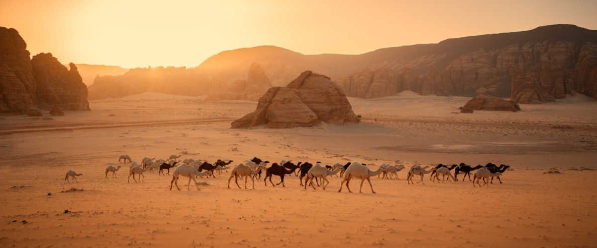 Top 8 Places to Visit in AlUla Witness the Enchanting Beauty